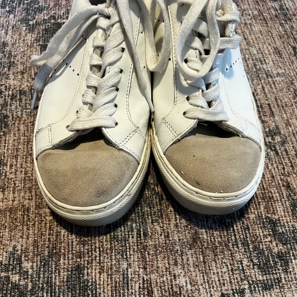 Women’s Steve Madden Sneakers